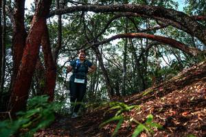 BIB: 
                            <button type="button" onclick="openModal(26346840)" class="btn btn-primary btn-sm float-right btn-popup" data-toggle="modal" data-target=".modal-high-quality">
                        <i class="fas fa-shopping-cart"></i> Add to Cart
                    </button>
                                            <button type="button" onclick="isThisMe(26346840, true)" class="btn btn-success btn-sm float-right btn-popup btn-isme hidden" data-toggle="tooltip" data-placement="bottom" title="นี่คือรูปของคุณใช่ไหม คลิกที่นี่เพื่อเอาเข้าอัลบั้ม">
                        <i class="fas fa-plus"></i> Add to album
                    </button>
                    <button type="button" onclick="isThisMe(26346840, false)" class="btn btn-warning btn-sm float-right btn-popup btn-isnotme hidden">
                        <i class="fas fa-ban"></i> Remove from album
                    </button>